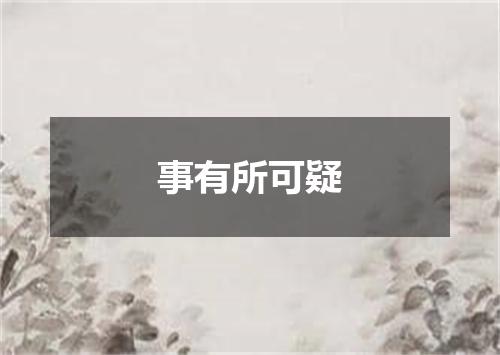 事有所可疑