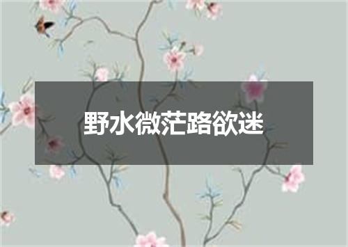 野水微茫路欲迷