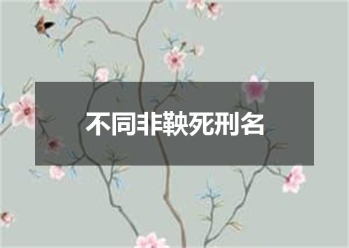 不同非鞅死刑名