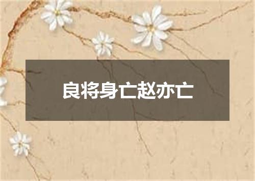 良将身亡赵亦亡