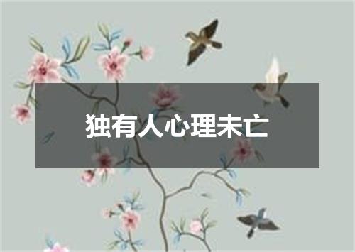 独有人心理未亡