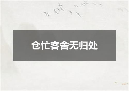 仓忙客舍无归处