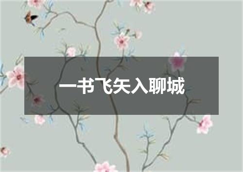 一书飞矢入聊城