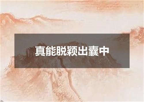 真能脱颖出囊中