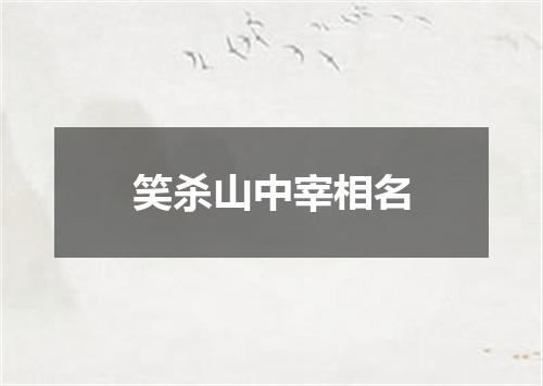 笑杀山中宰相名