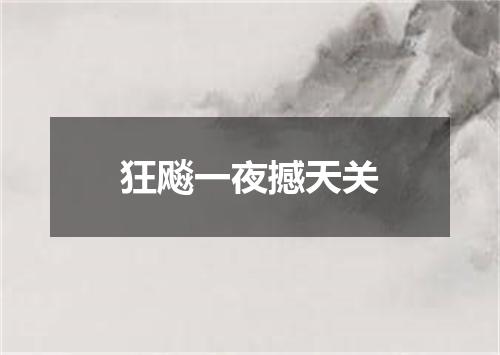 狂飚一夜撼天关