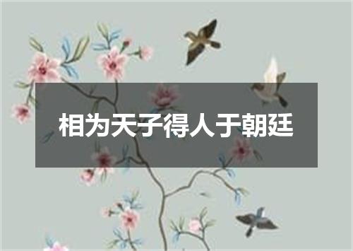 相为天子得人于朝廷