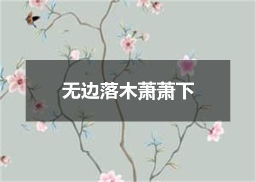 无边落木萧萧下