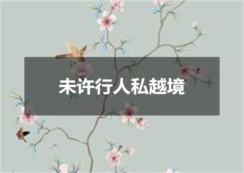 未许行人私越境