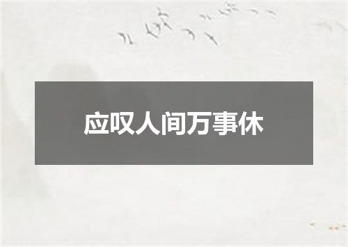 应叹人间万事休