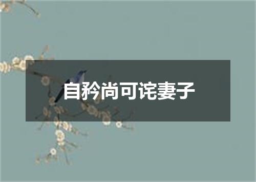 自矜尚可诧妻子