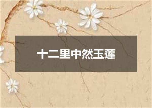十二里中然玉莲
