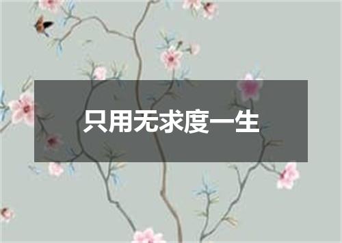 只用无求度一生