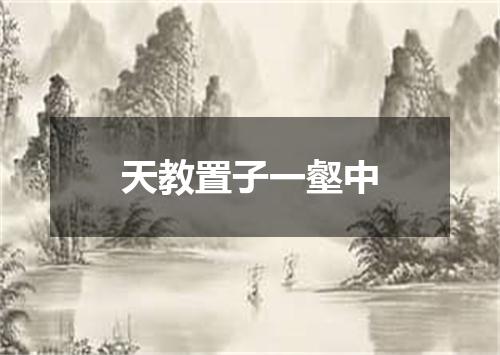 天教置子一壑中