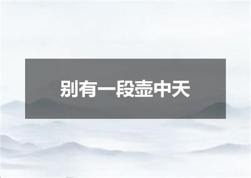 别有一段壶中天