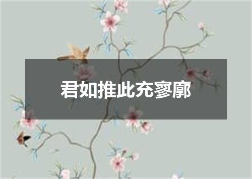 君如推此充寥廓