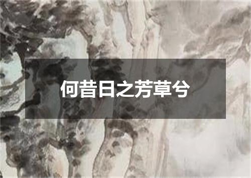 何昔日之芳草兮