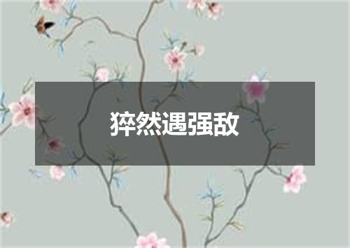 猝然遇强敌