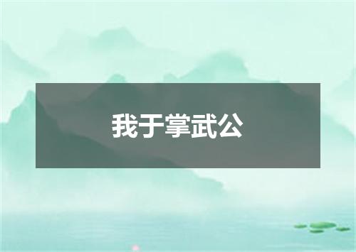 我于掌武公