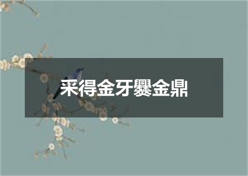 采得金牙爨金鼎