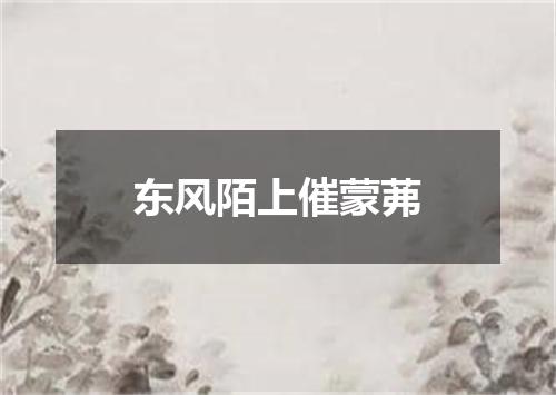 东风陌上催蒙茀
