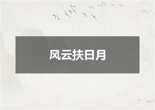 风云扶日月