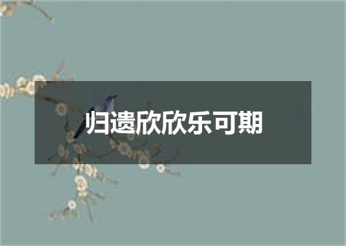 归遗欣欣乐可期