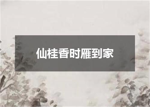 仙桂香时雁到家