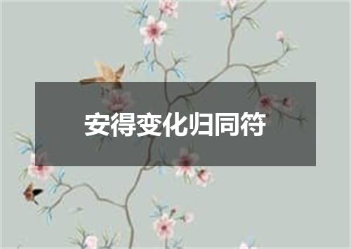 安得变化归同符