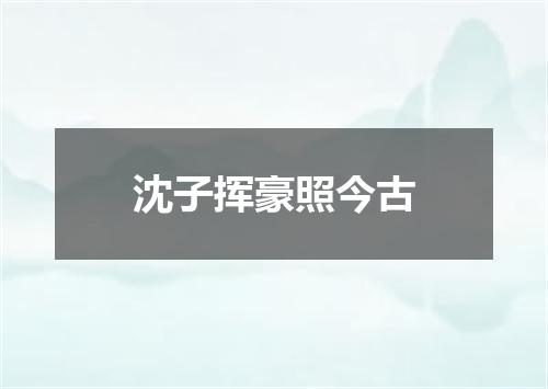 沈子挥豪照今古