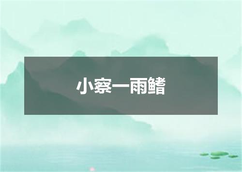 小察一雨鳍