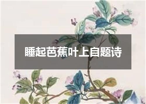 睡起芭蕉叶上自题诗