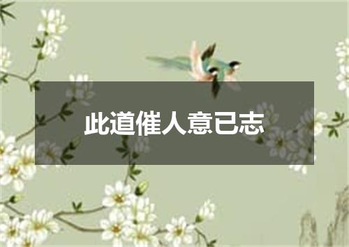 此道催人意已志