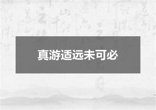 真游适远未可必