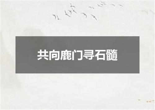 共向鹿门寻石髓