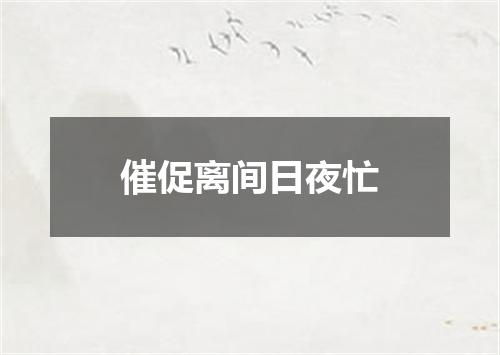 催促离间日夜忙