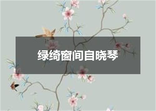 绿绮窗间自晓琴