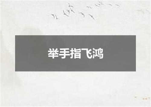 举手指飞鸿