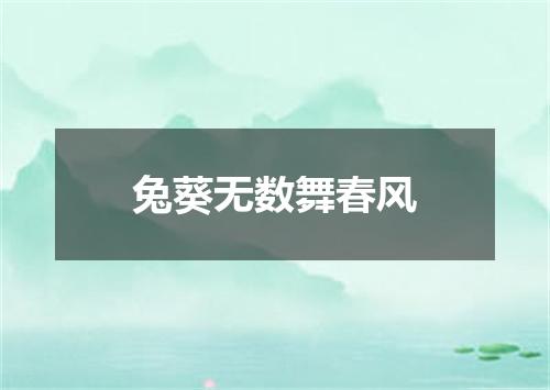 兔葵无数舞春风