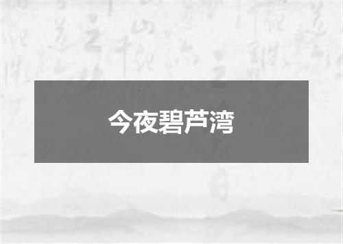 今夜碧芦湾