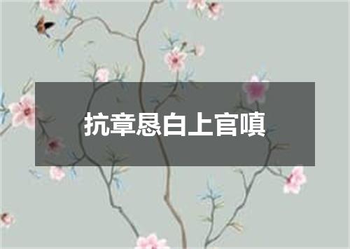 抗章恳白上官嗔
