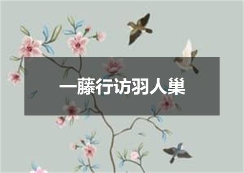 一藤行访羽人巢