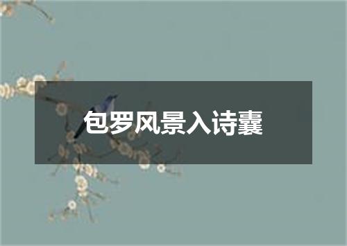 包罗风景入诗囊