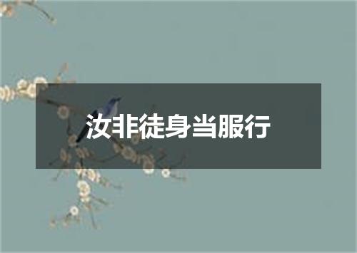 汝非徒身当服行
