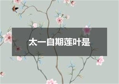 太一自期莲叶是