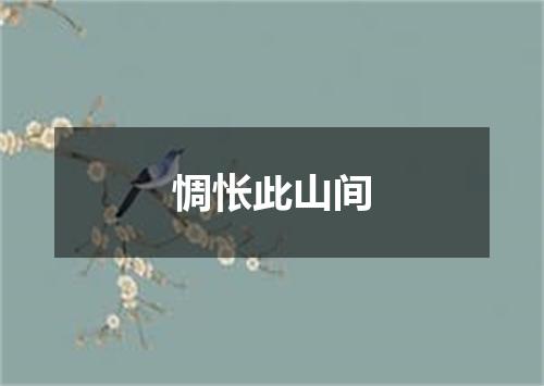 惆怅此山间