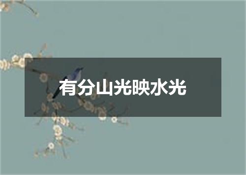 有分山光映水光