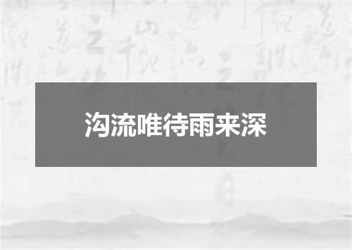 沟流唯待雨来深