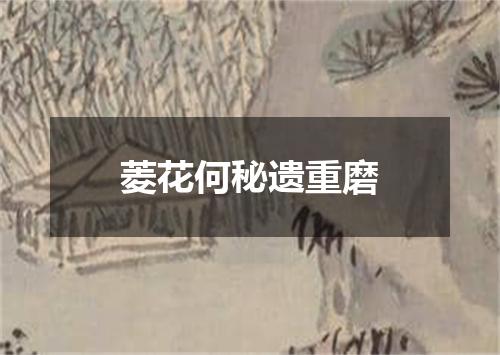 菱花何秘遗重磨