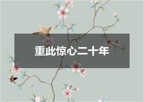 重此惊心二十年